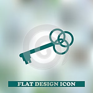 Key icon. web design