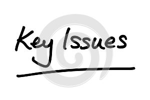 Key Issues