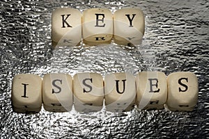 Key issues