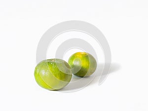 The key lime on tree