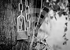 Key lock with metal chain on wooden background, black and white photography