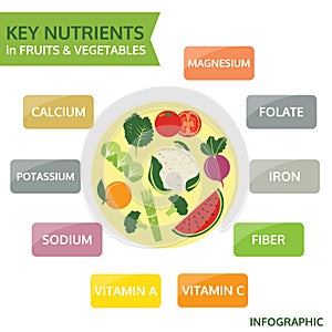 Key nutrients in fruits and vegetables, vector