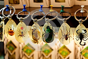 Key ring with insects.