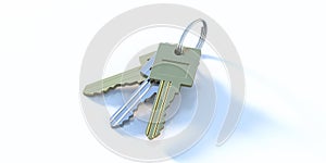 Key ring with three keys isolated on white background. 3d illustration