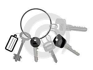 Key set with keyring