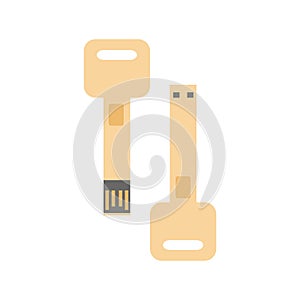 Key shape Flash drive (USB memory) icon Flat illustration