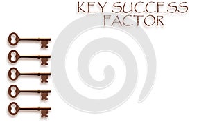 Key Success Factor Concept