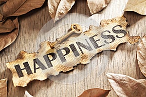 Key to happiness concept