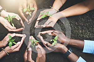 The key to succeeding is beginning. a group of people holding plants growing out of soil.