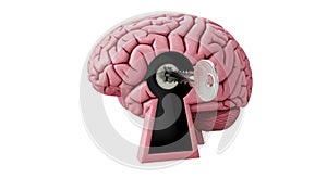 Key unlocking the secrets of the human brain