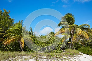 Key West beach fort Zachary Taylor Park Florida