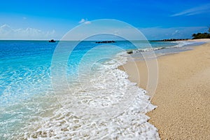 Key West beach fort Zachary Taylor Park Florida photo