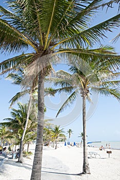 Key West Beaches