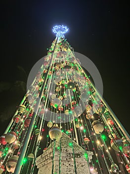 Key west Christmas Tree