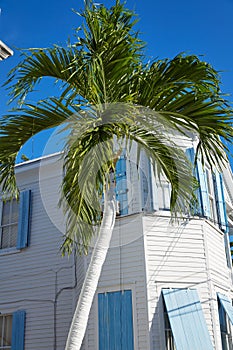 Key west downtown street houses in Florida photo