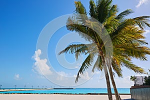 Key west florida beach Clearence S Higgs
