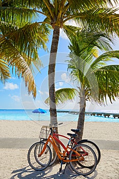 Key west florida beach Clearence S Higgs photo