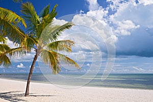 Key West Florida, beautiful summer beach landscape