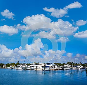 Key West Florida marina Garrison Bight Florida