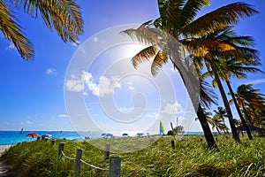 Key west florida Smathers beach palm trees US photo