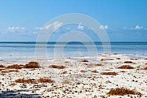 Key West, Florida, USA.