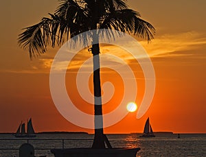 Key West sunset photo