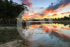 Key West Sunset - Florida Keys - Reflections in Mangroves