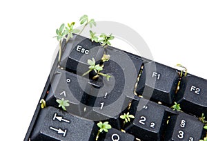 Keyboard with garden cress