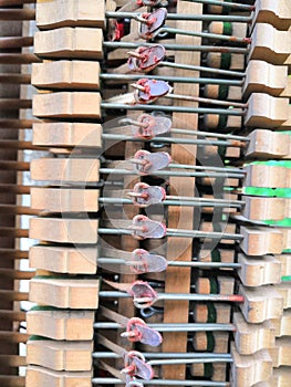 The keyboard and innards of a dumped and damaged vintage upright piano