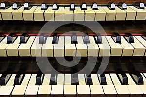 Keyboards of organ