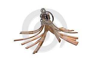 keychain isolated on white background