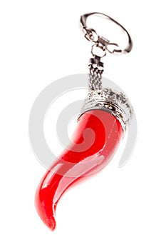 Keychain lucky charm