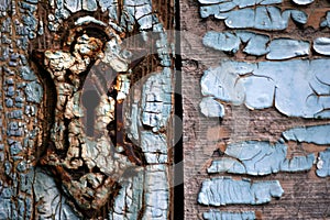 Keyhole on worn out wooden door