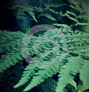 Keylor leaves in the afternoon