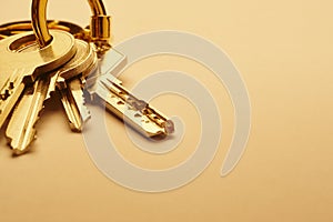 Keyring with keys in golden tone over an empty background