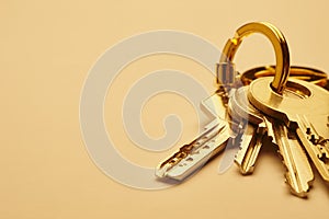 Keyring with keys in golden tone over an empty background