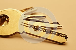 Keyring with keys in golden tone over an empty background