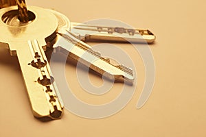 Keyring with keys in golden tone over an empty background