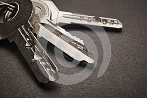 Keyring with keys in grey tone over a black background