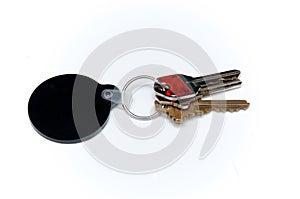 Keyring with three keys over white and black blank fob