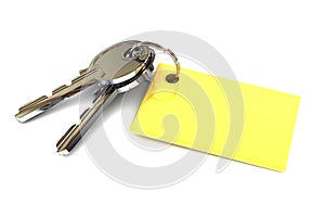 Keys with Blank Gold Keyring photo