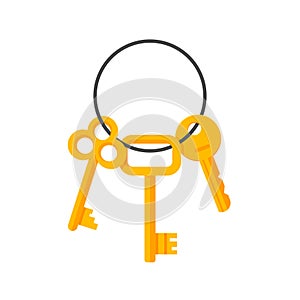 Keys hanging on key ring vector illustration