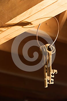 Keys hanging from Rafters (Vertical)