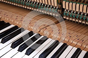 Keys and inside of a piano