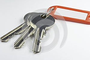 Keys with key fob 02