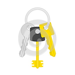 Keys on key ring illustration.