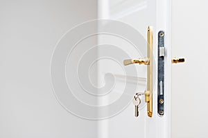 Keys in the keyhole with beautiful golden doorknob