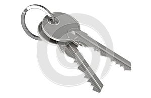 Keys on a keyring, 3D rendering