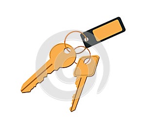 Keys in Keyring with Label Vector Illustration