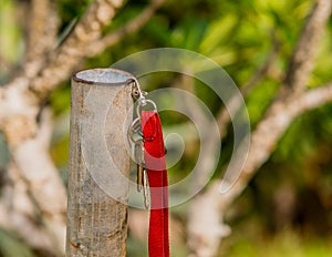 Keys on red strap keyring